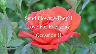 Alvin Florist   Same Day Flower Delivery in Alvin, TX from Local Flower Shop