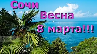 8 Марта. Сочи. Весна.  Отдых. Экскурсии. 2017(, 2017-03-08T19:32:38.000Z)