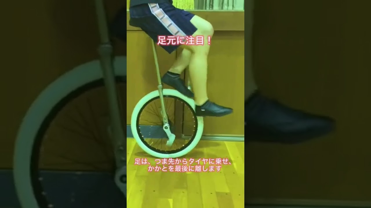 Bridgestone Unicycle 一輪車20インチ Bridgestone Spins Unicycle 20