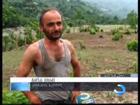 რა მოხდა სოფელ კირნათში, საქართველოს საზღვართან