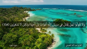 تلاوة من سورة البقرة - آية 153 إلى 158