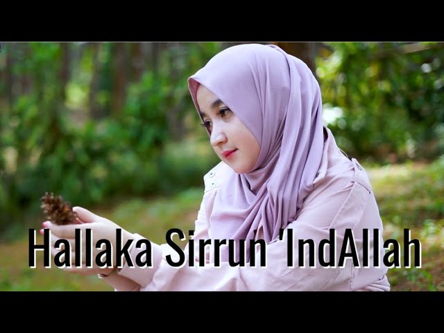 DJ Sholawat Hallaka Sirun Indallah - Syeikh Mishari Alafasy || BEBIRAIRA class=