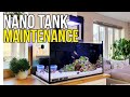 Nano Reef Tank Maintenance - Mixed Reef Nuvo 20 - Nano Saltwater Aquarium