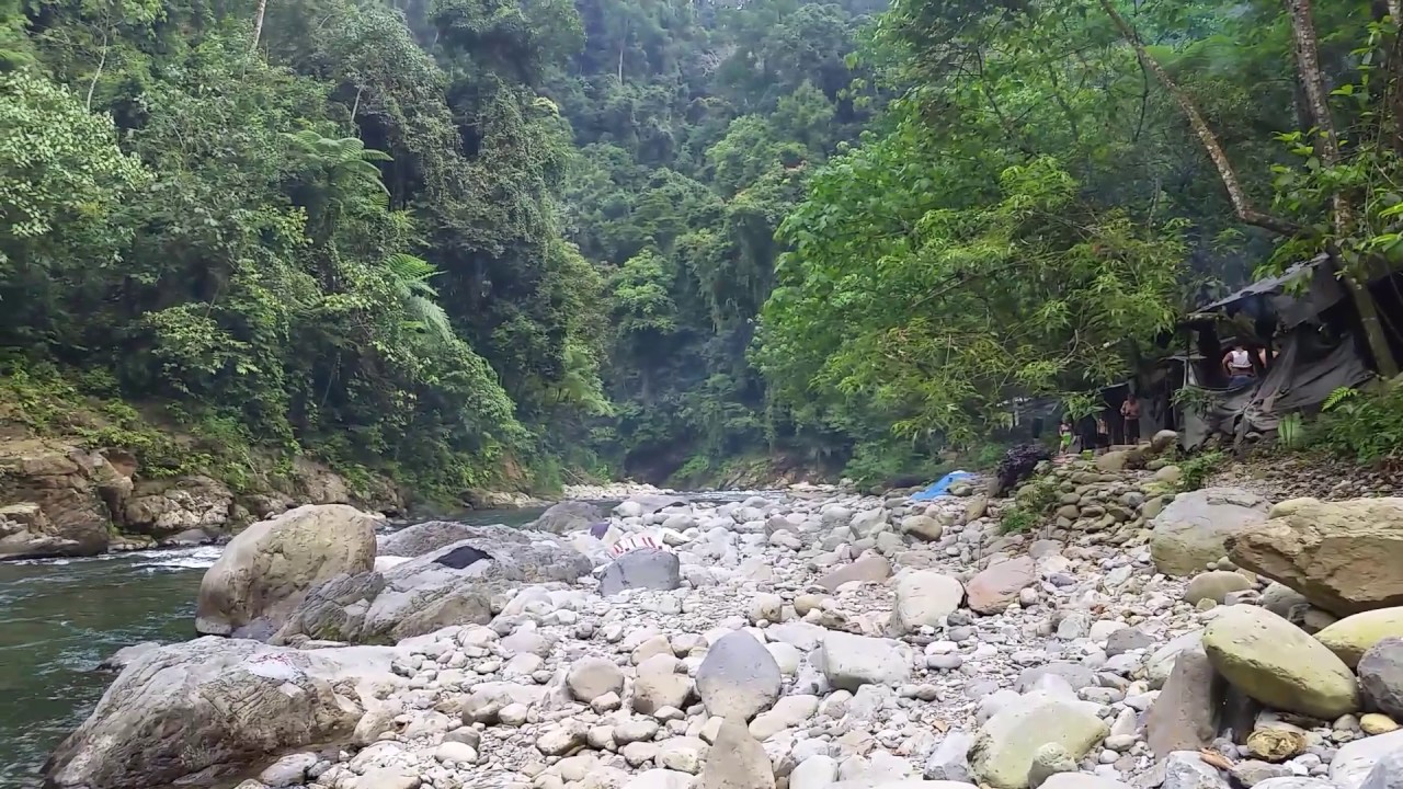 camera iphone 8 plus apk Jungle Trekking Campsite on Bahorok River, Gunung Leuser National Jungle, Sumatra, Indonesia