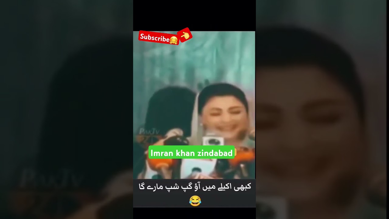 Ali amin gandapur and maryam nawaz funny video 