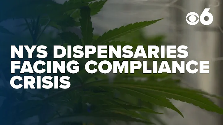 New York cannabis dispensaries face compliance crisis after state error