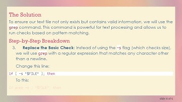 How to Ensure Your Text File is Non-Empty and Fits a Specific Format in Bash