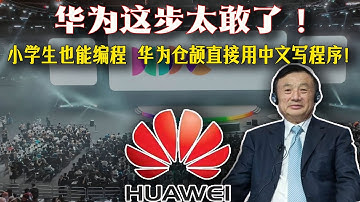 “中文寫代碼，真能替代Java？華為這步太敢了！”“以後小學生也能編程？華為倉頡直接用中文寫程序！”“如果谷歌封妳賬號，華為這套系統能救妳命！”