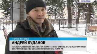 Размер штрафа за косулю достигает 100 тысяч рублей Размер штрафа за косулю достигает 100 тысяч рублей