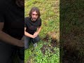 De ce nu cresc pomii plantați