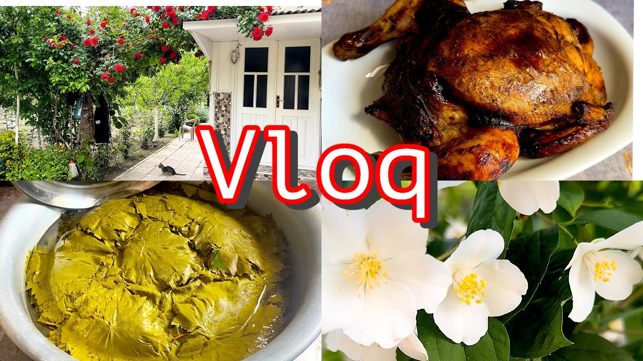 ATA EVİM☘️AD GÜNÜNƏ YIĞIŞDIQ.YENİ ÜSULLA YARPAQ QOYDUM.QONAQLARIMIZ BİZƏ NƏ GƏTİRMİŞDİ?VLOQ.