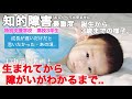 【知的障害・最重度】生まれてから障がいがわかるまで..誕生から3歳までの様子。『再投稿』成長が遅いだけだと思いたかった、あの頃../特別支援学校 高校3年生/おしゃべりできません。