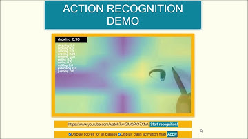 Action recognition on video (stable CAM)