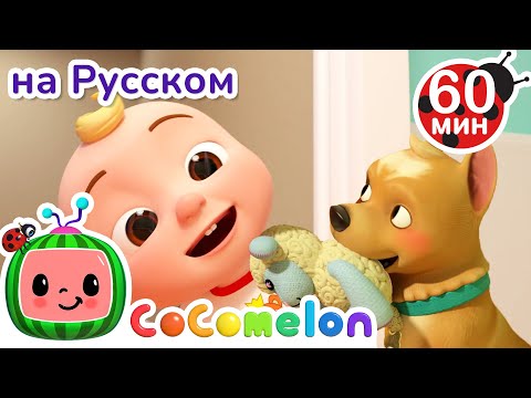 Моя Собака Бинго | Сборник 1 Час | Cocomelon На Русском  Детские Песенки