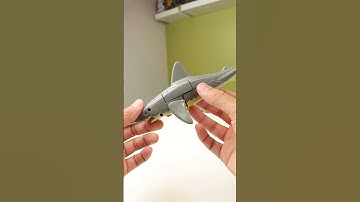 A "Transformer" Sold At The Zoo #shorts