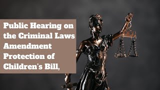 Public Hearing On The Criminal Laws Amendment Protection of Children, Young People's Bill