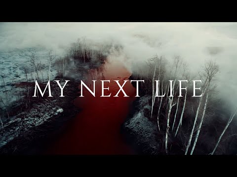 MY NEXT LIFE