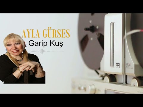Ayla Gürses - Garip Kuş  (Official Audio)