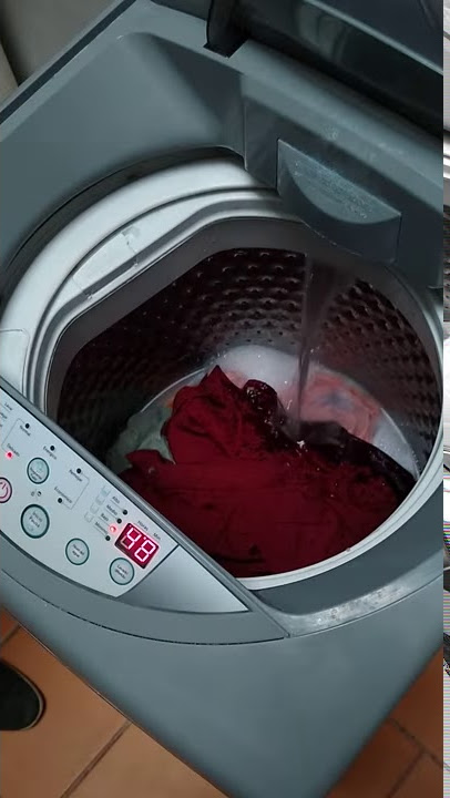 4 sugerencias para escoger la lavadora ideal en este fin de año – Samsung  Newsroom Chile