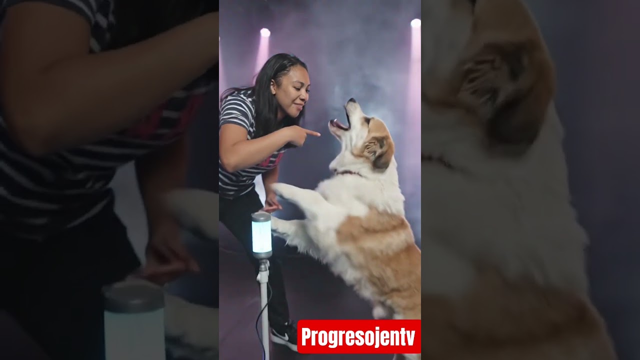 Рэпер-собака 