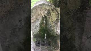 IMG 1119