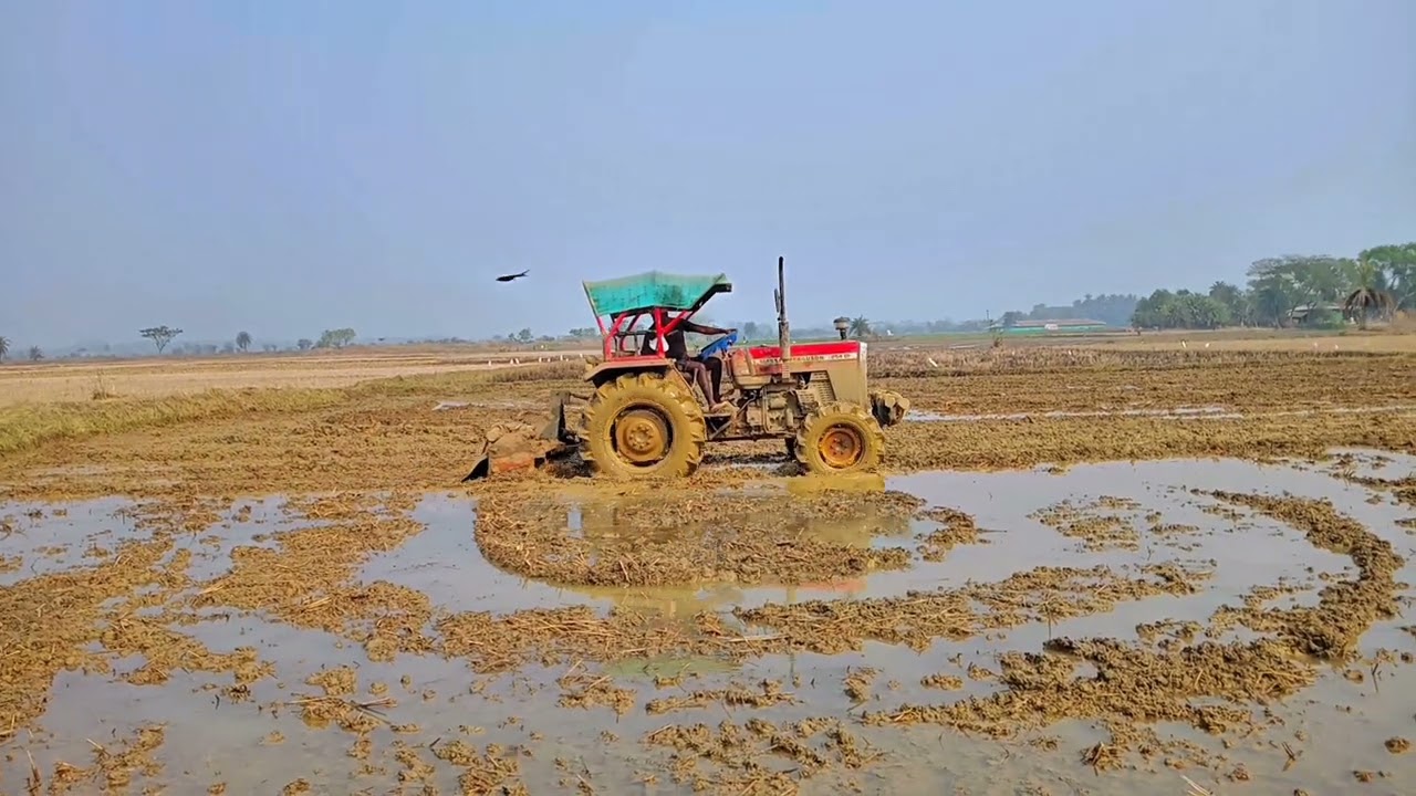 Powerful Massey Tractor Plowing the Field | Odia Daily Vlogger