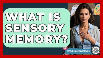 What Is Sensory Memory? - Special Education Learning
