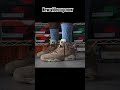 #nike #sneakers #travisscott #jordan6 #sneakerhead #weekend #rotation #august #2024