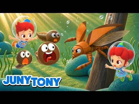 Que Inseto Esquisito É Esse?! 🐛💧 | Músicas Infantis | JunyTony em Português