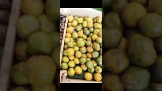 #আল্লাহর কাছে#তওবা করার সুন্দর একটাকাহিনী#ইসলামেরসৌন্দর্য#একজনঅন্যজনের জন্যদোয়াকরা সহানুভূতি দেখানো