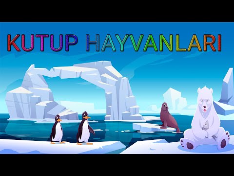 Kutuplarda Yaşayan Hayvanları Öğrenelim