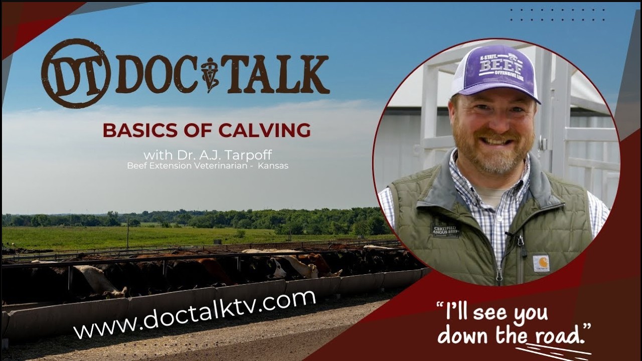 DocTalk Ep 718 Calf Care with A.J. Tarpoff