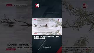 ҚАУІПТІ ЖЕРЛЕРГЕ КҮЗЕТ ҚОЙЫЛДЫ