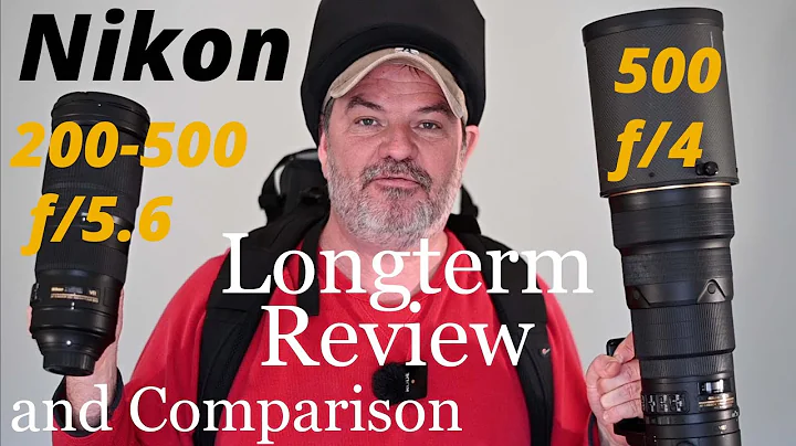 Nikon 500 f/4 Vs 200-500 f/5.6 Long Term Review & Comparison