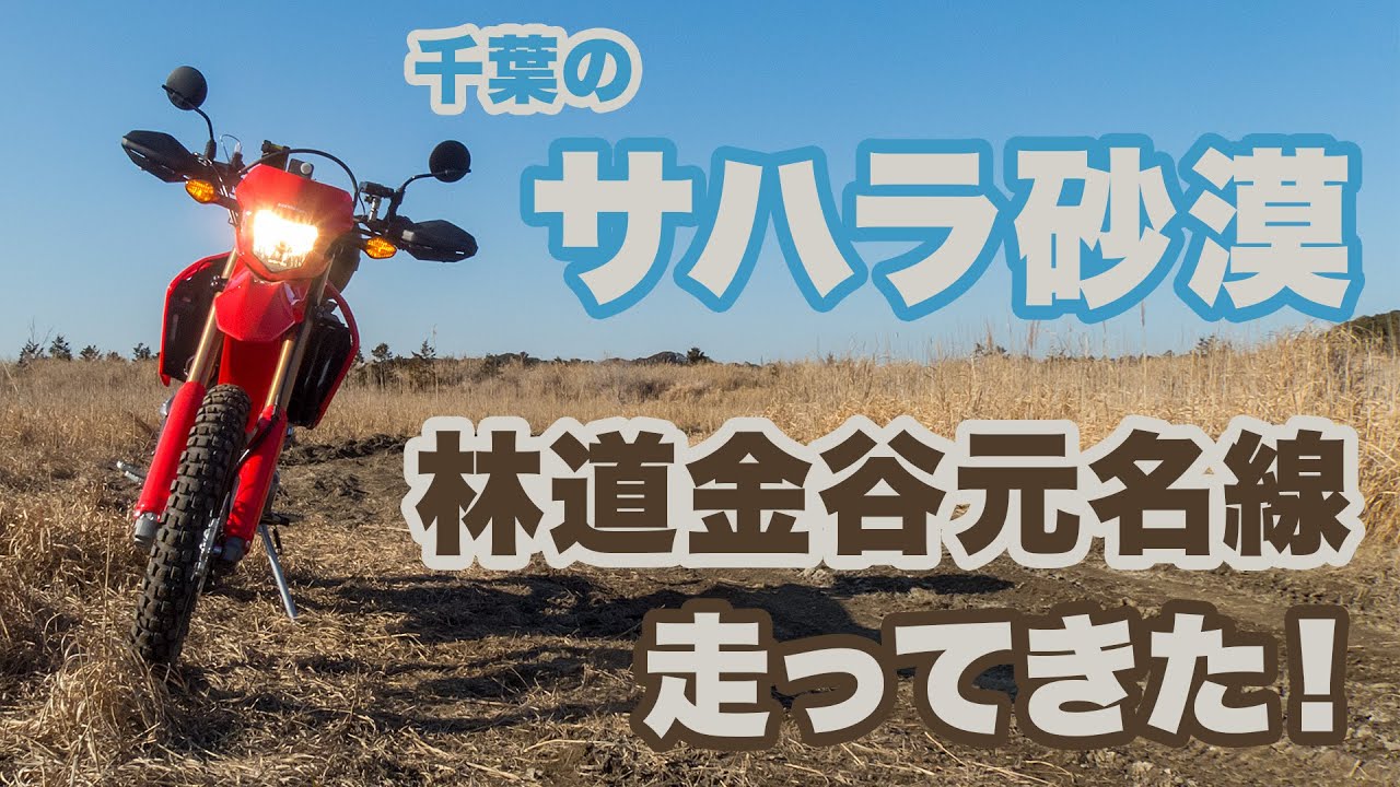 ここはサハラ砂漠 林道金谷元名線を走ってきた Crf250l モトブログ Motovlog 林道 ツーリング Youtube