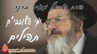 הרב ברנר-ימי השובבי"ם, תהילים(9)