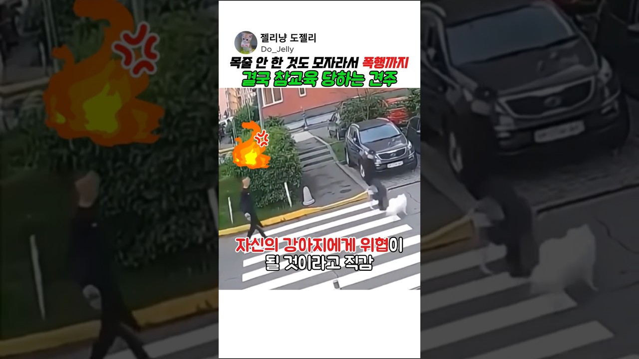 목줄 안 한 것도 모자라서 폭행까지, 결국 참교육 당하는 견주