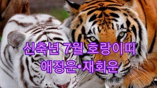 신축년 7월 호랑이띠 운세