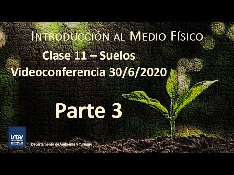 Vídeo: Logística De Jardins. Parte 3