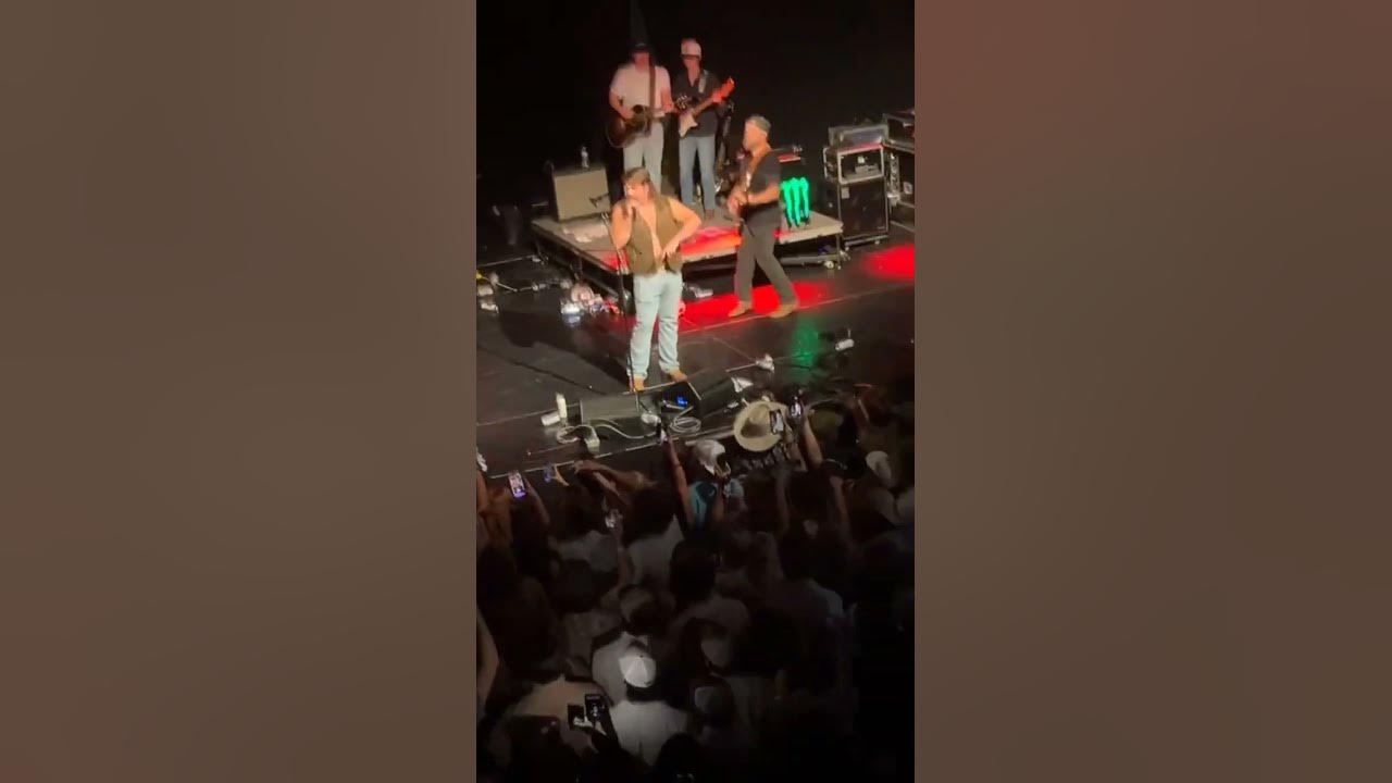 Security hits fan at Gavin Adcock concert