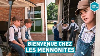 BIENVENUE CHEZ LES MENNONITES (Bolivie)  L'Effet Papillon