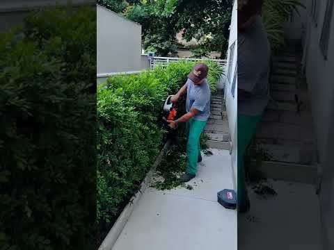 Vídeo: Como escolher um aparador de jardim