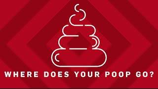 Where Does Your Poop Go? | Brit Lab Where Does Your Poop Go? | Brit Lab
