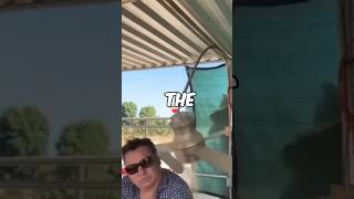 The Fan Got The Best Of Me Who Wants The Lumingale?