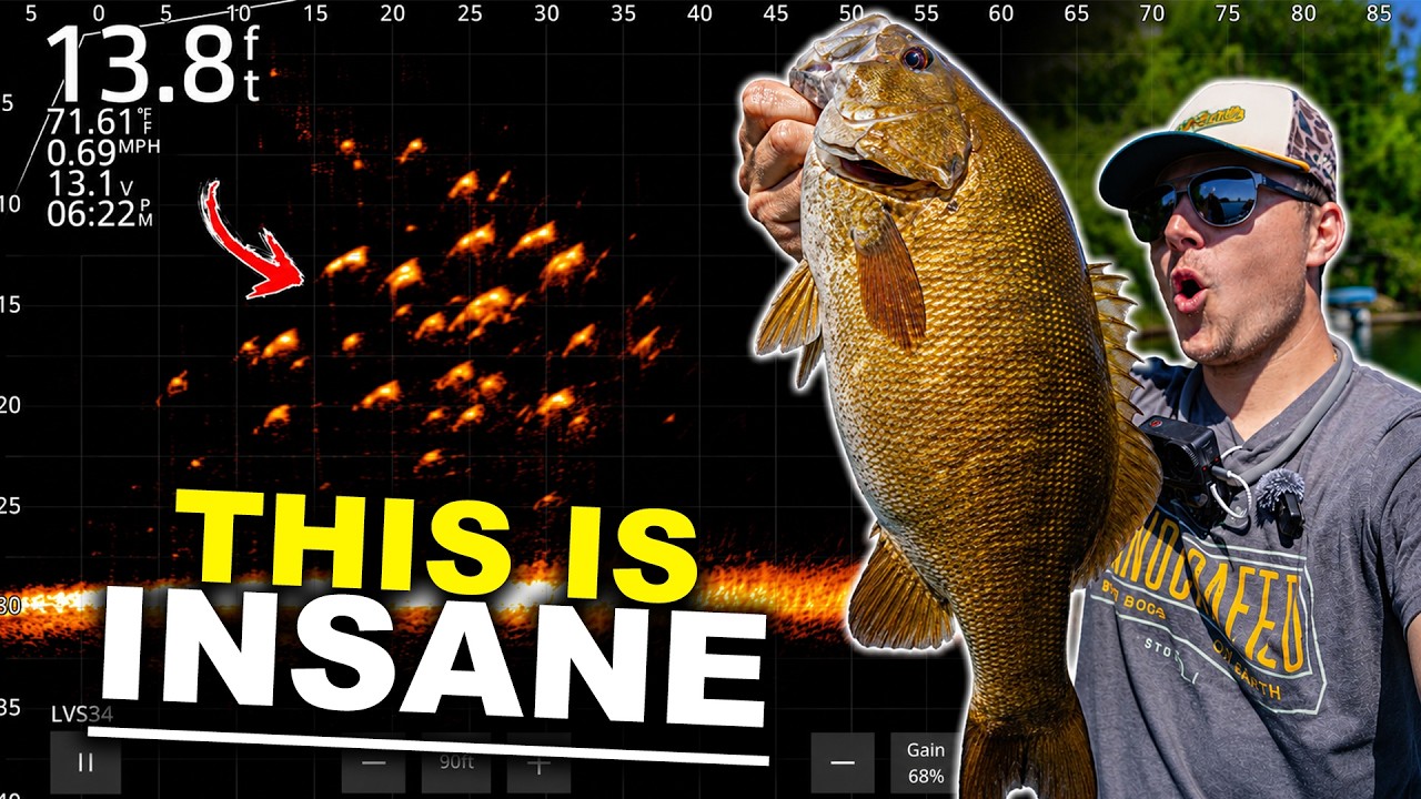 I Fished with a GIANT Livescope Screen… This Isn't Fair