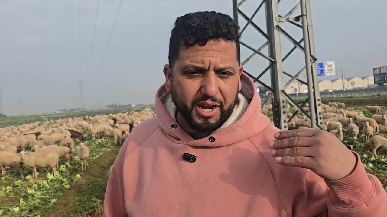 واش داعم فيه الحرام وريبة في أروبا أسمع مزيان 