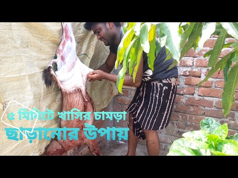 ভিডিও: হিমায়িত হ্যাম রান্না করার 3 টি উপায়