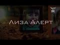 Лиза Алерт. Цикл «Хранители»