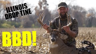 BIG BUCK DOWN! Tinks 69 and THE DROP TINE