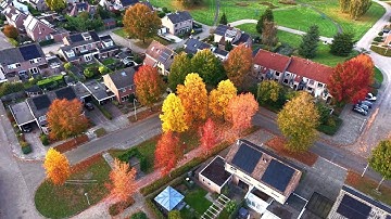 Beautiful fall colors in Ommen - 4k drone shot